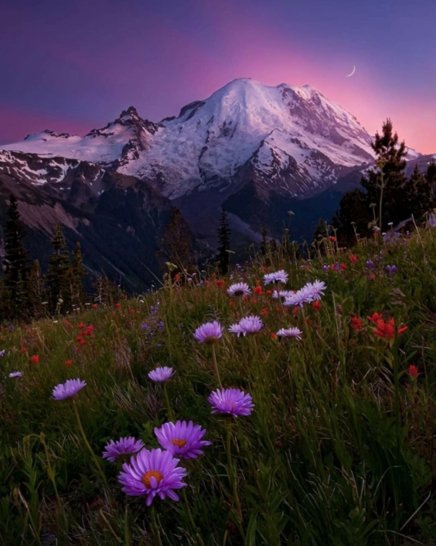 Primavera/Springtime di Alberto&nbsp;C.