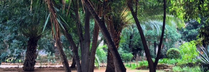 In silenzio di Valeria&nbsp;Rossitto