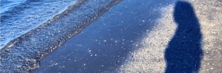 Anima Antica di Valeria&nbsp;Rossitto