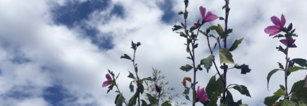 No di Valeria&nbsp;Rossitto