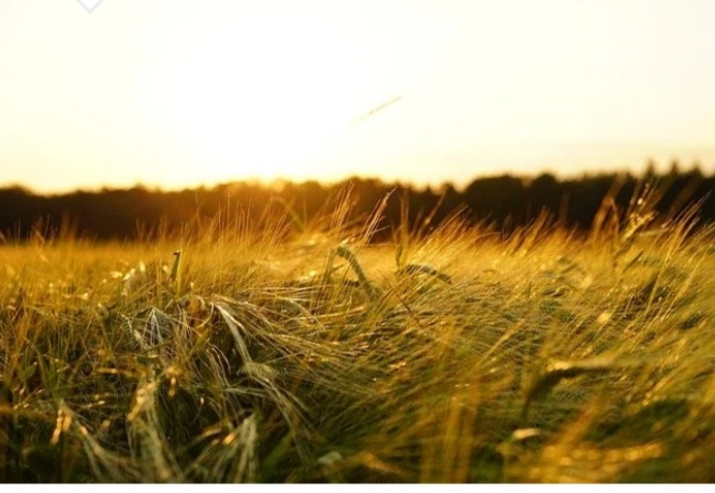 Il sassolino nella scarpa (prima parte) di Elena e Laura&nbsp;Canepa