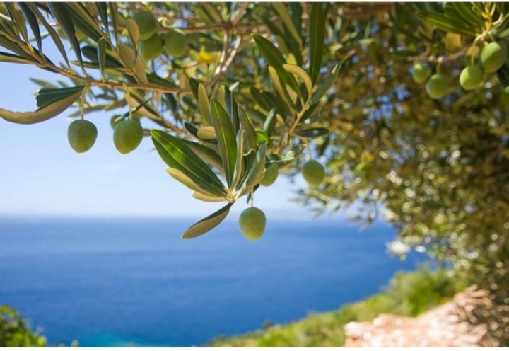 Il sassolino nella scarpa ( Terza e ultima parte) di Elena e Laura&nbsp;Canepa