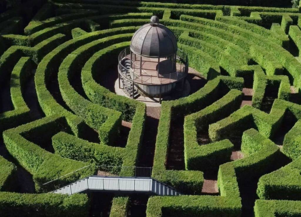 Voce di voci by Federico&nbsp;Cinti