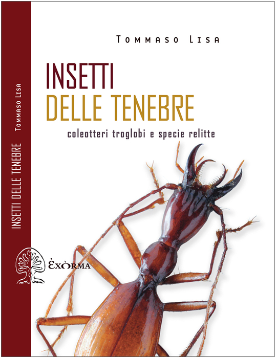 # Recensione: Insetti delle tenebre di Marisa&nbsp;Salabelle