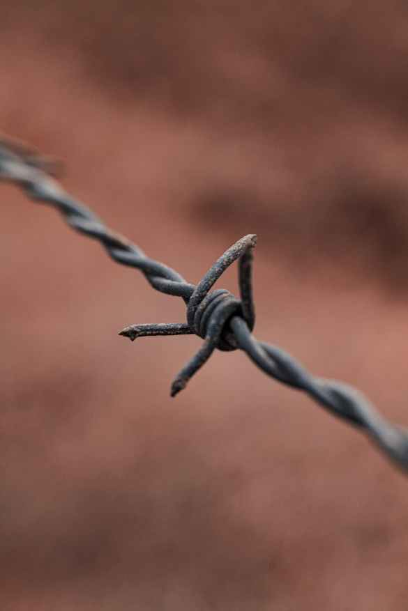 I servizi della giustizia minorile. by Giusy Di&nbsp;Maio