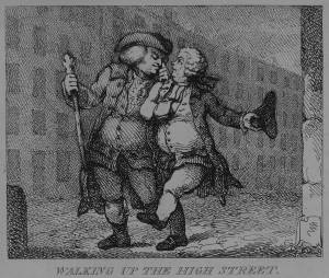 ESSERE UN BOSWELL by Luisa&nbsp;Zambrotta