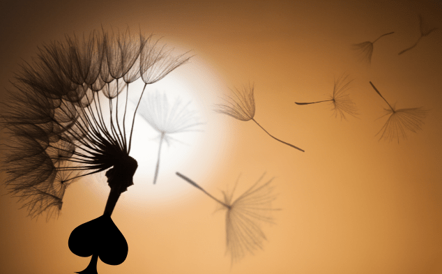 Soli insieme by Milena&nbsp;Bonazzi