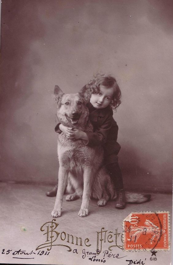 Marlowe in Love by Luisa&nbsp;Zambrotta