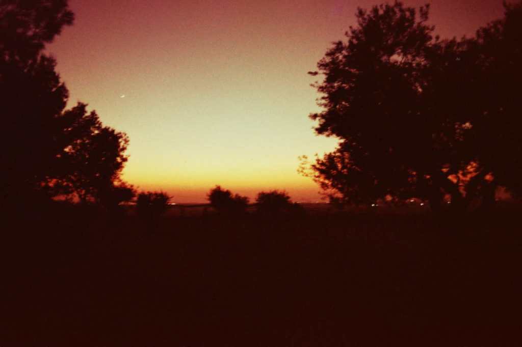 Farfalla by Federica&nbsp;Mangano