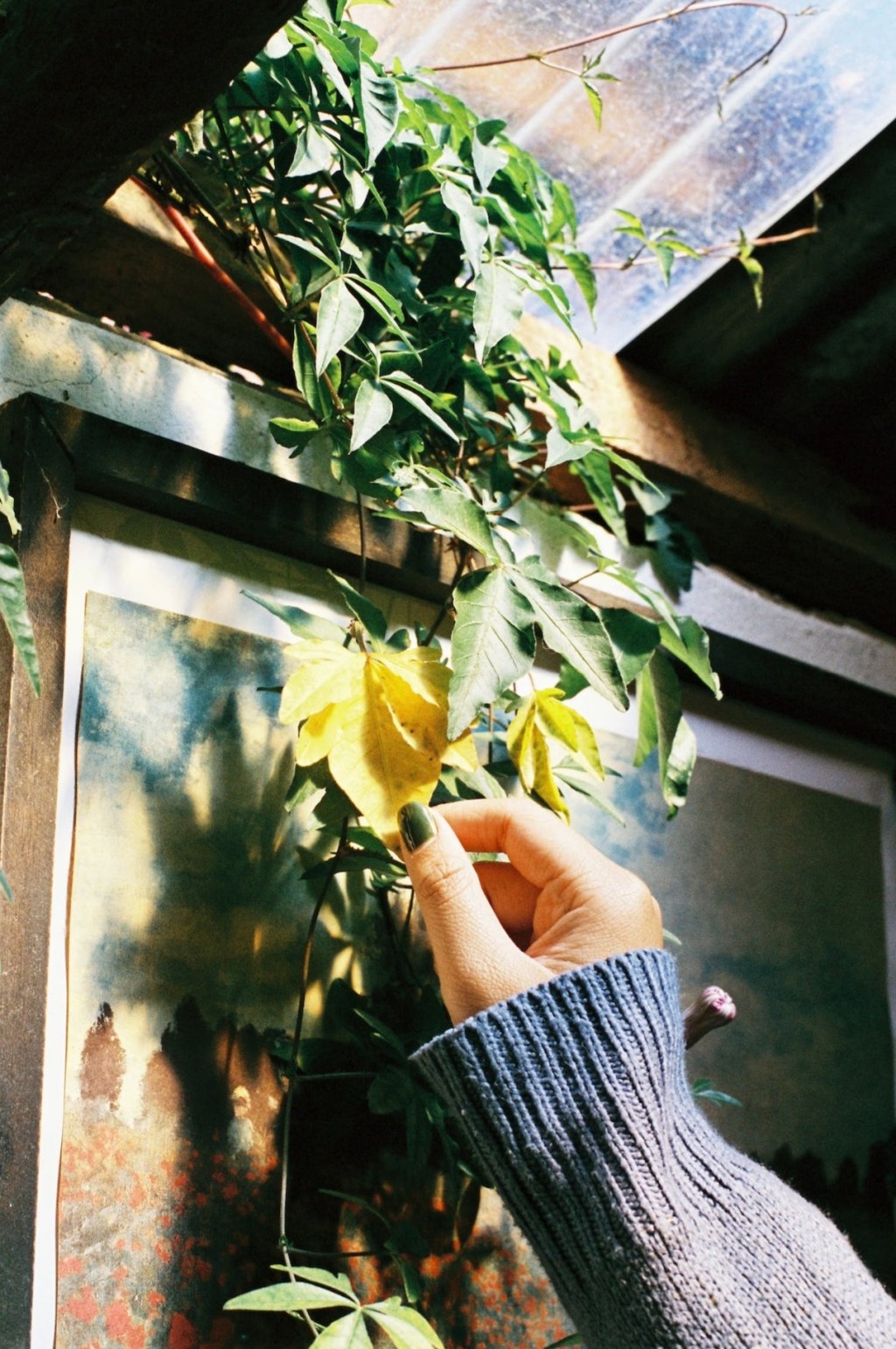 Effetto di mera esposizione by Greta&nbsp;Rosso