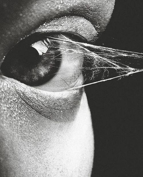 Glandula by Simon James&nbsp;Terzo