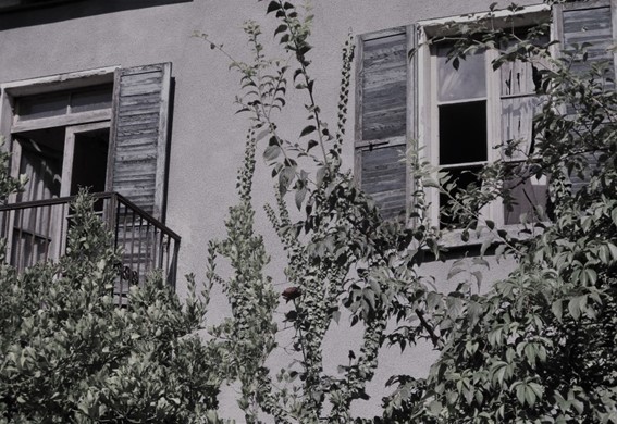 “Lentamente muore” by Luisa Zambrotta (Martha&nbsp;Medeiros)