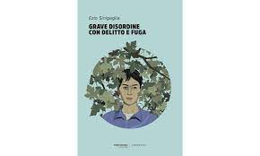 Grave disordine con delitto e fuga, di Ezio Sinigaglia (Terrarossa edizioni) Recensione di Marisa&nbsp;Salabelle