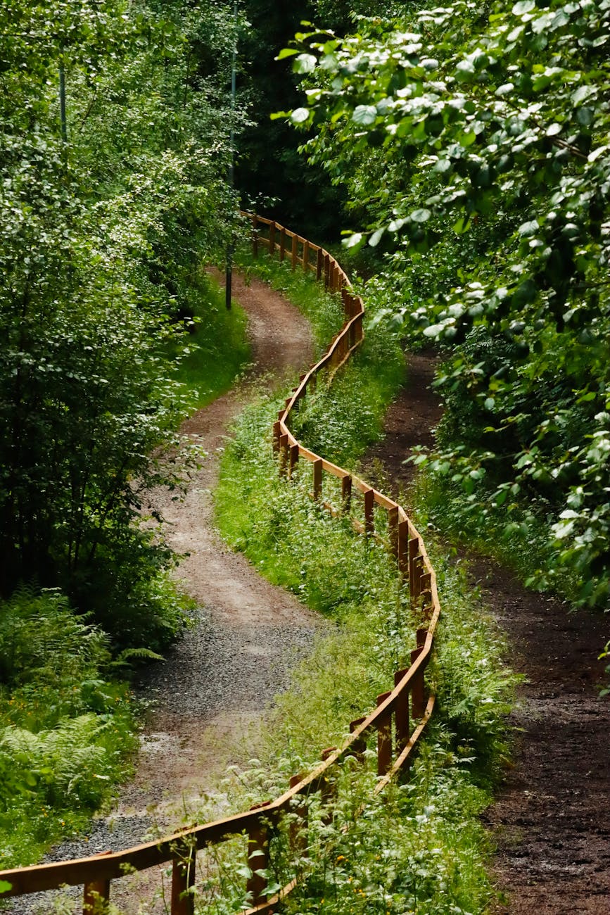 Sulle tracce by Franco&nbsp;Bonvini