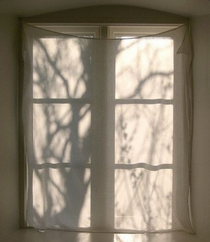 Anche quest’anno non s’è mosso by Teresio&nbsp;Bianchessi