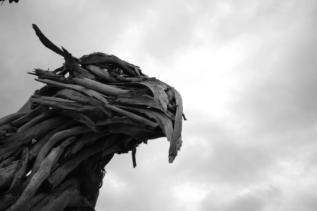 Immaginare / Grifoni e&nbsp;perteghe