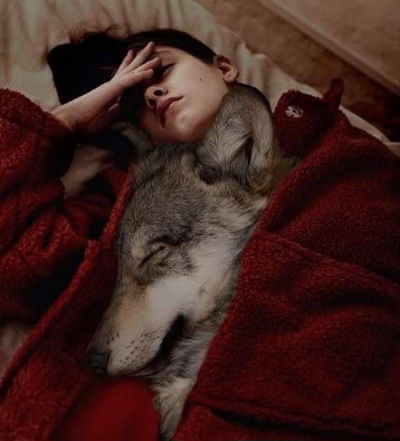 Daniele Baron – Cappuccetto&nbsp;Rosso