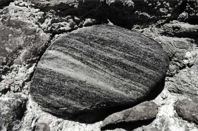 Immaginare / Glossario&nbsp;litico