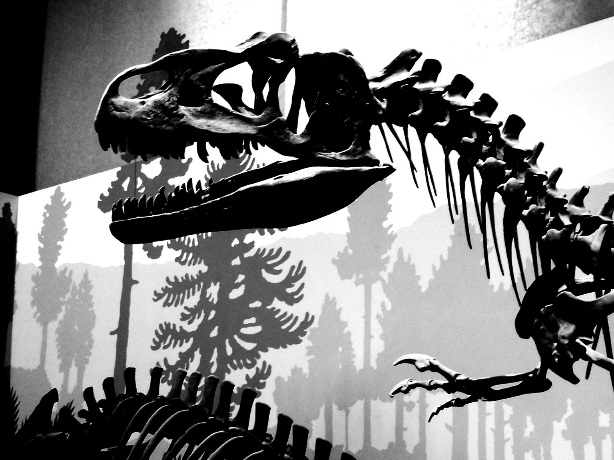 LaPoetessaRossa – Preistoria