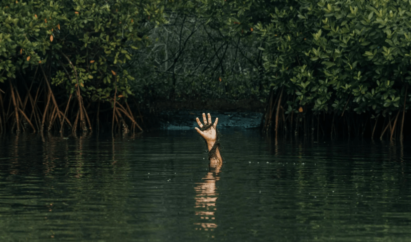 Aurelienne – Un fiore per&nbsp;coltello