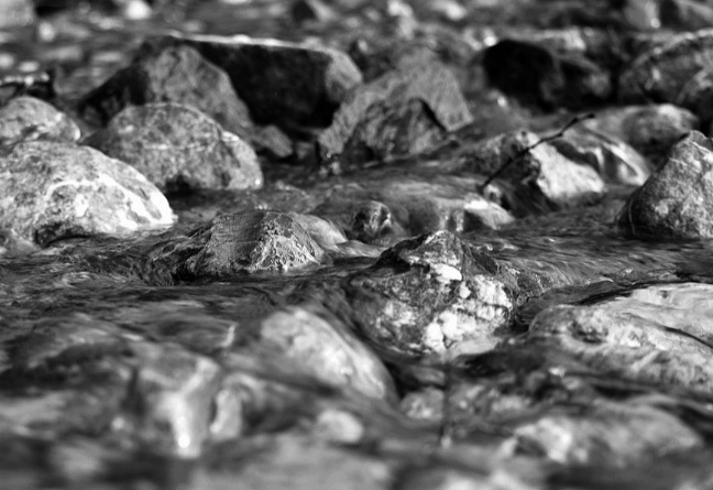 Gianluca Mantoani – Le ossa della&nbsp;terra