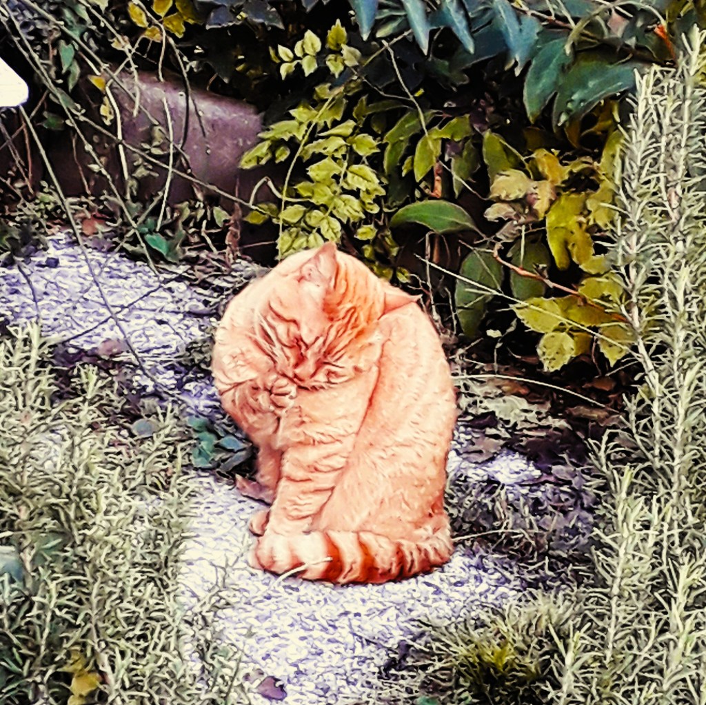 LA PANDEMIA by Luisa&nbsp;Zambrotta