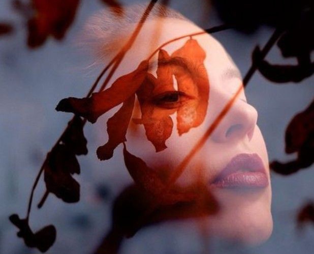 Antonio Ovidi – Come il rosso d’autunno sugli&nbsp;alberi