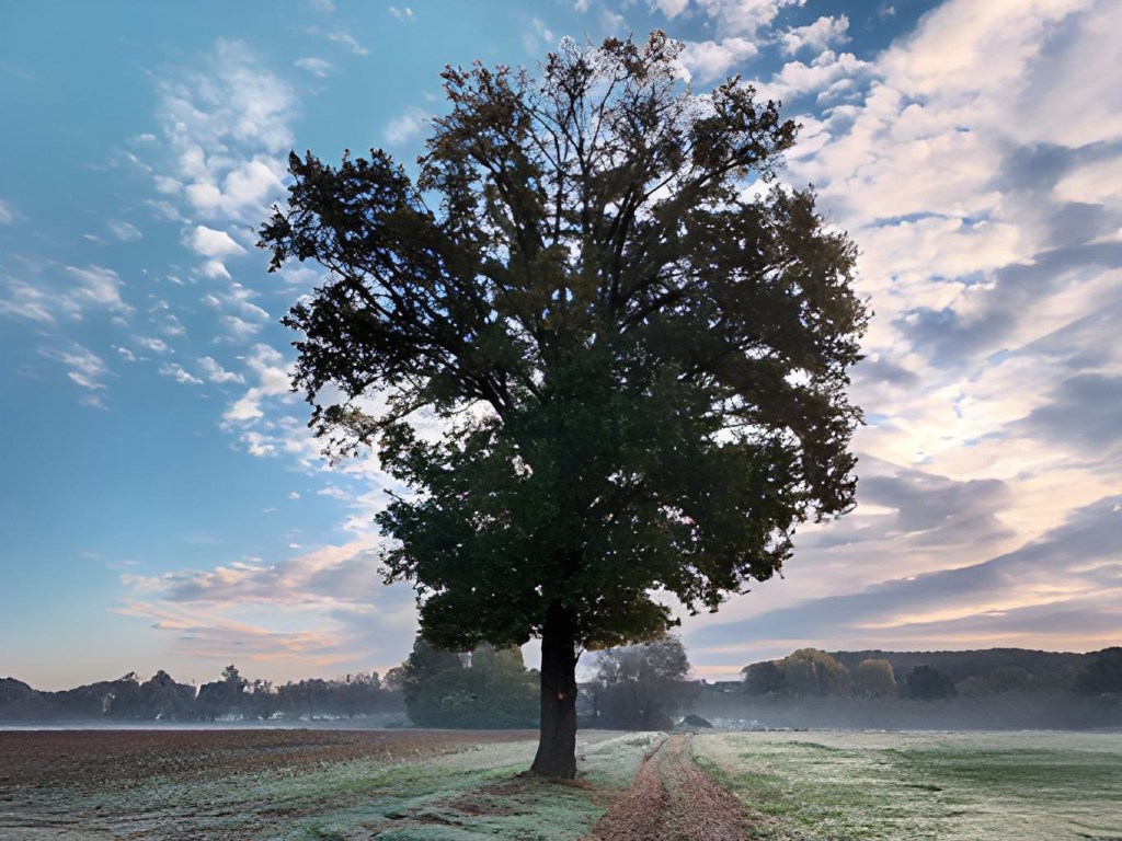 Lorenzo Bertini – Il&nbsp;Saggio