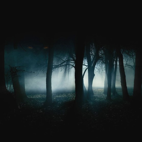 Mauro Cason – La nostra&nbsp;ombra