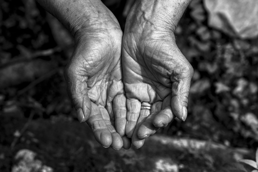 Lorenzo Bertini –&nbsp;Giunti