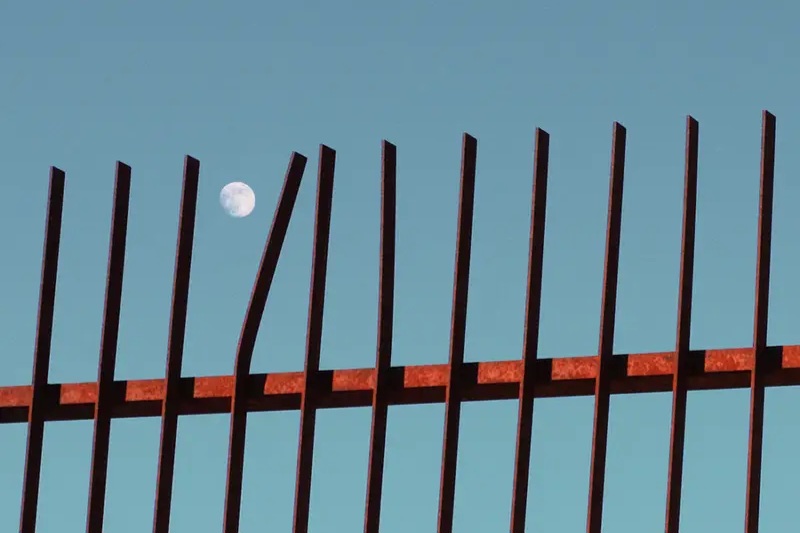 Silvano Bottaro –&nbsp;Nonostante