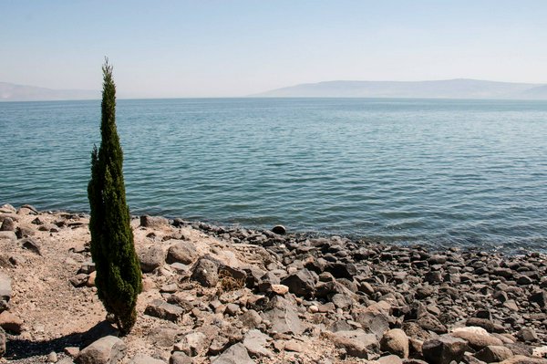 Ri-letture / Altiero Righetti – Il seme&nbsp;nero