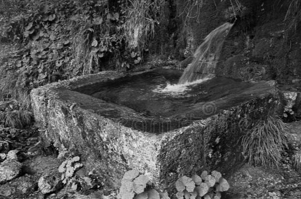 Gianluca Mantoani – Delle&nbsp;origini