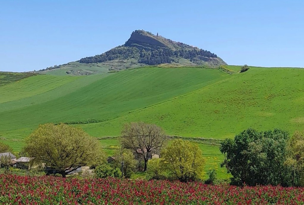 Giuseppe Tecce – Il canto del castagno e dell’amore&nbsp;rinato