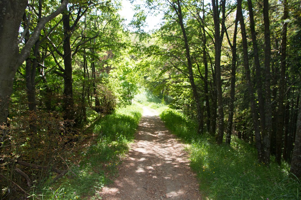 Abilità e pazienza…