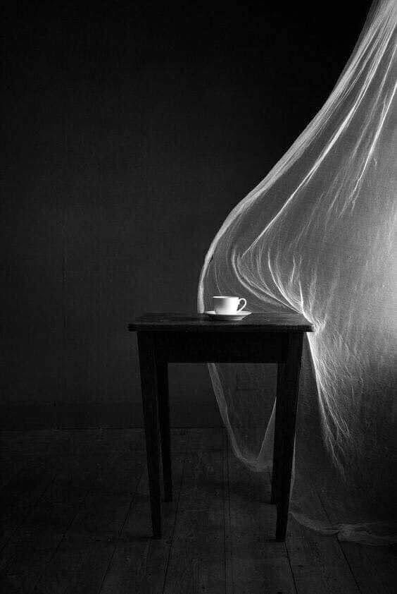 Tregue —04: Falsi Dei di J. Re&nbsp;Crivello