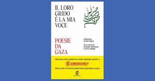 Il loro grido è la mia voce, autrici e autori vari, Fazi 2025 Recensione di Marisa&nbsp;Salabelle