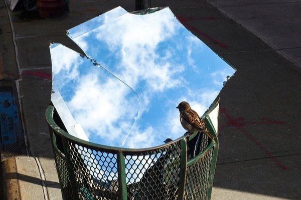 Greta Rosso –&nbsp;Saga