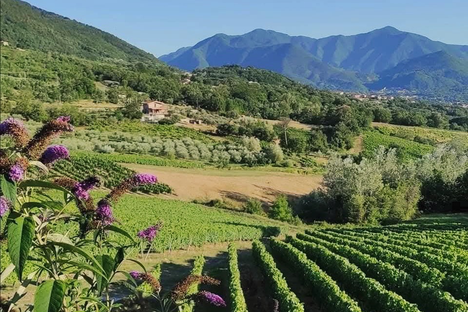 “Racconti dall’Irpinia”: Giuseppe Tecce e la narrazione come geografia dell’anima – Recensione di Rosa&nbsp;Bianco