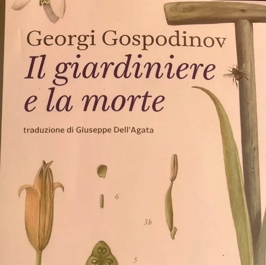Il giardiniere e la morte, di Georgi Gospodinov (Voland, 2025) Recensione di Marisa&nbsp;Salabelle
