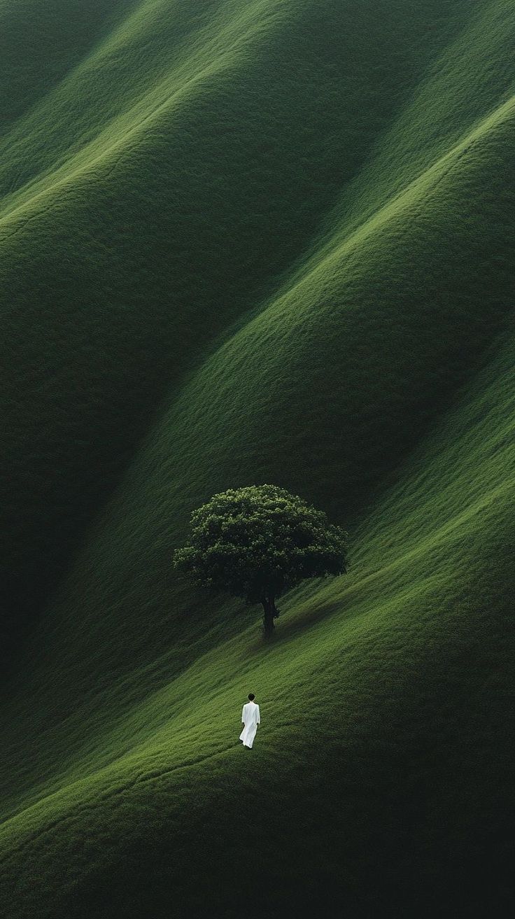 Superare o coesistere? di J. Re&nbsp;Crivello