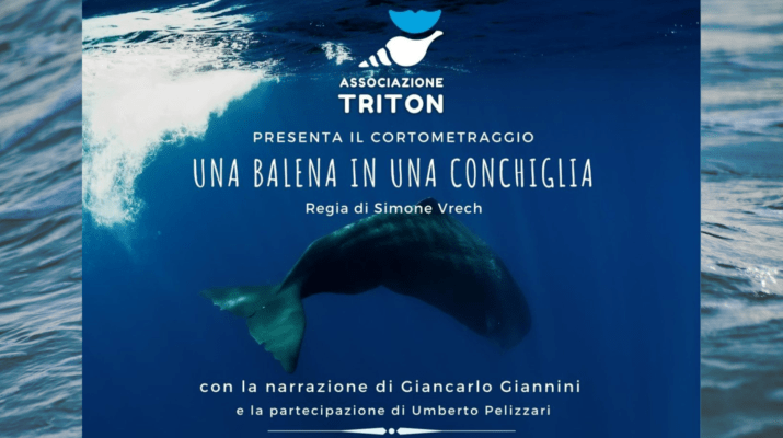 “Una balena in una conchiglia”: intervista esclusiva per Pianeta&nbsp;Azzurro