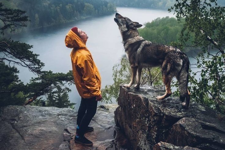 Giuseppe Tecce – La&nbsp;coda