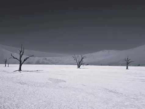 Il deserto by&nbsp;Berlicche