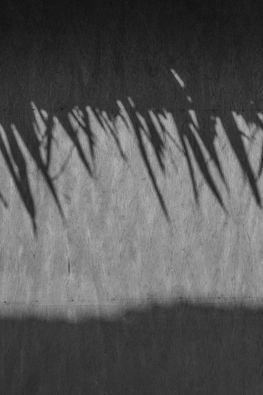 Punto d’ombra di&nbsp;RiVerso
