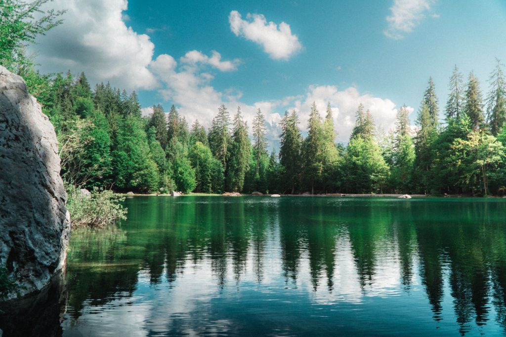 Davanti al lago by Franco&nbsp;Bonvini